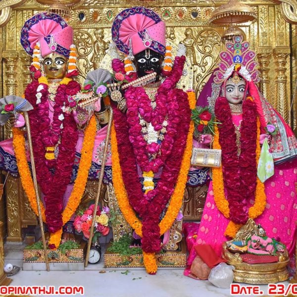 Shree Gopinathji Maharaj Daily Darshan 23  January 2018