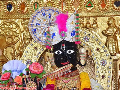 Shree Gopinathji Maharaj Daily Darshan 04  February 2018