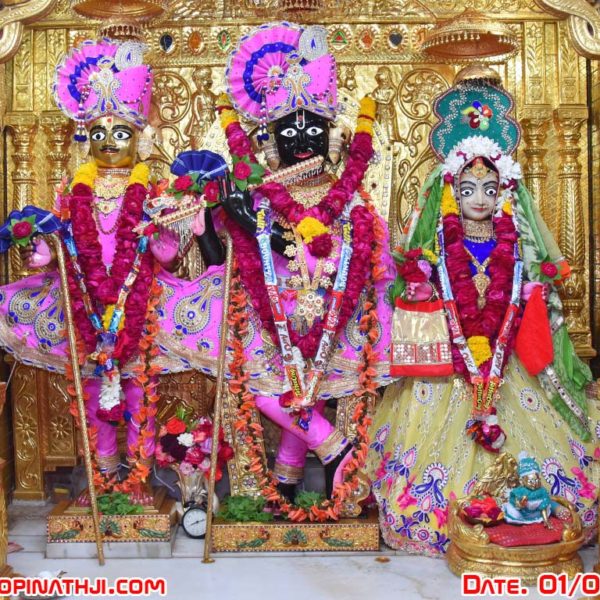 Shree Gopinathji Maharaj Daily Darshan 01  February 2018