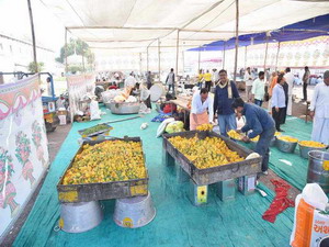 દિવ્ય શાકોત્સવ એવમ સત્સંગ સભાઓ : 2018