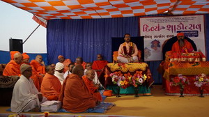 દિવ્ય શાકોત્સવ એવમ સત્સંગ સભા શંકરપુરા